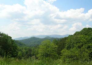 Bryson City Cabin mountain view